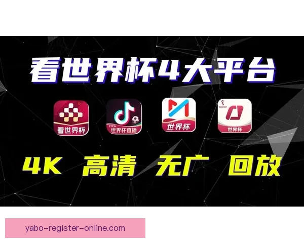 世界杯竞猜热门平台深度解析与用户体验全面升级指南